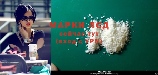 гидра Покачи