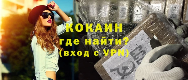 стаф Пересвет